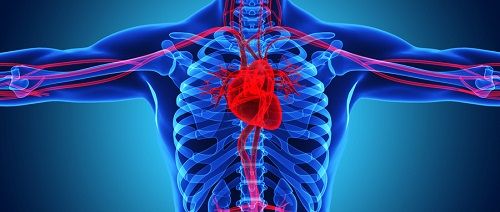 動(dòng)脈硬化檢測(cè)儀