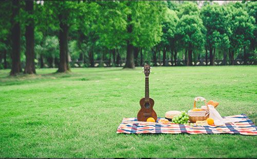 心率變異檢測儀