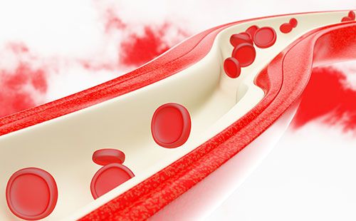 動(dòng)脈硬化檢測儀