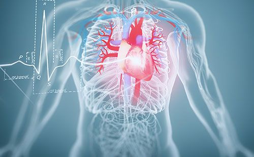 動(dòng)脈硬化檢測儀