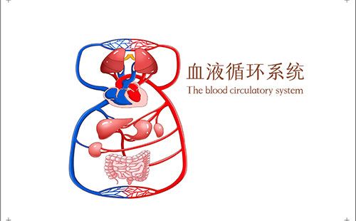 動脈硬化檢測儀