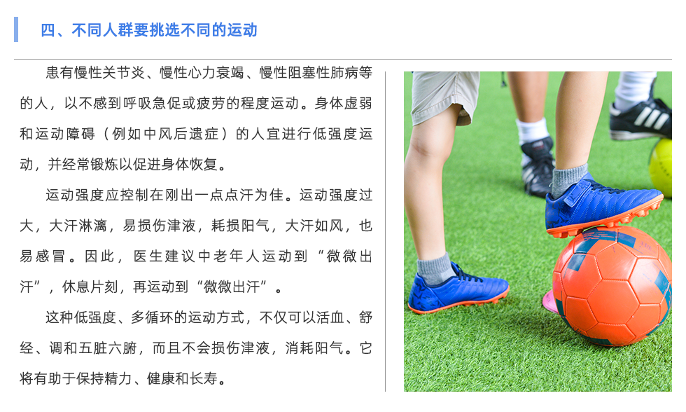 體適能測(cè)試儀