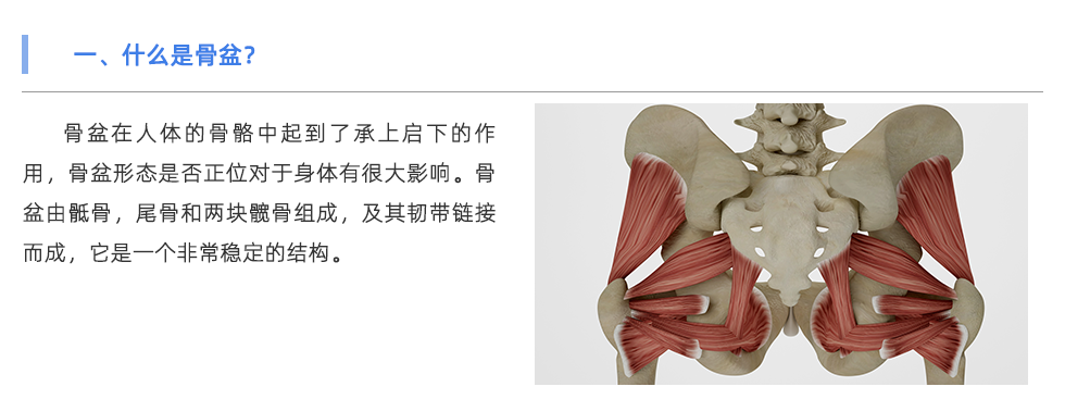 人體姿態(tài)檢測(cè)儀