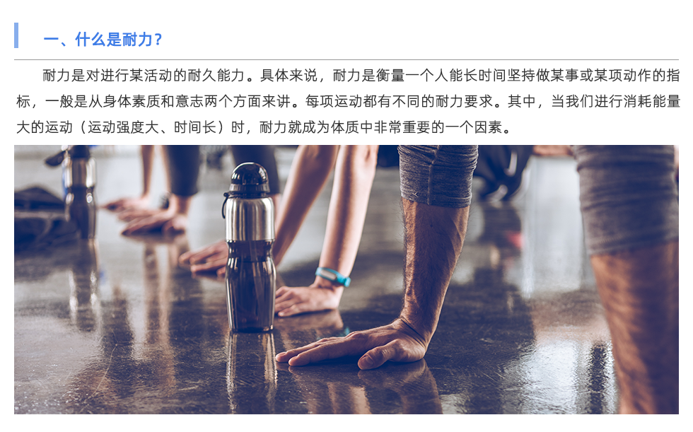 體能測(cè)試儀