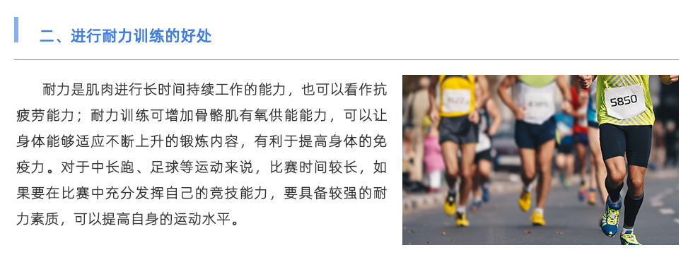 體能測(cè)試儀