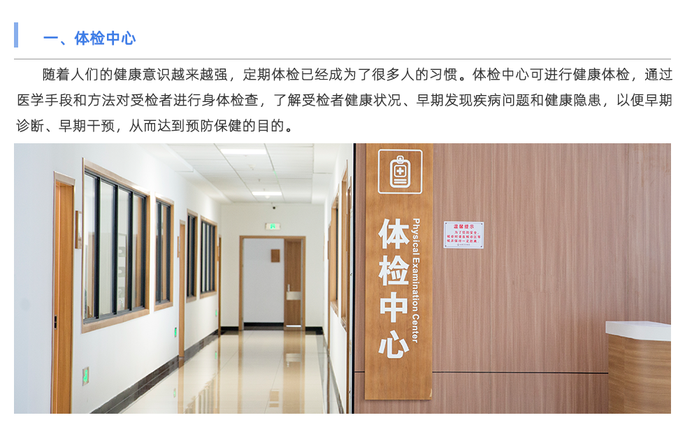 體能測(cè)試儀