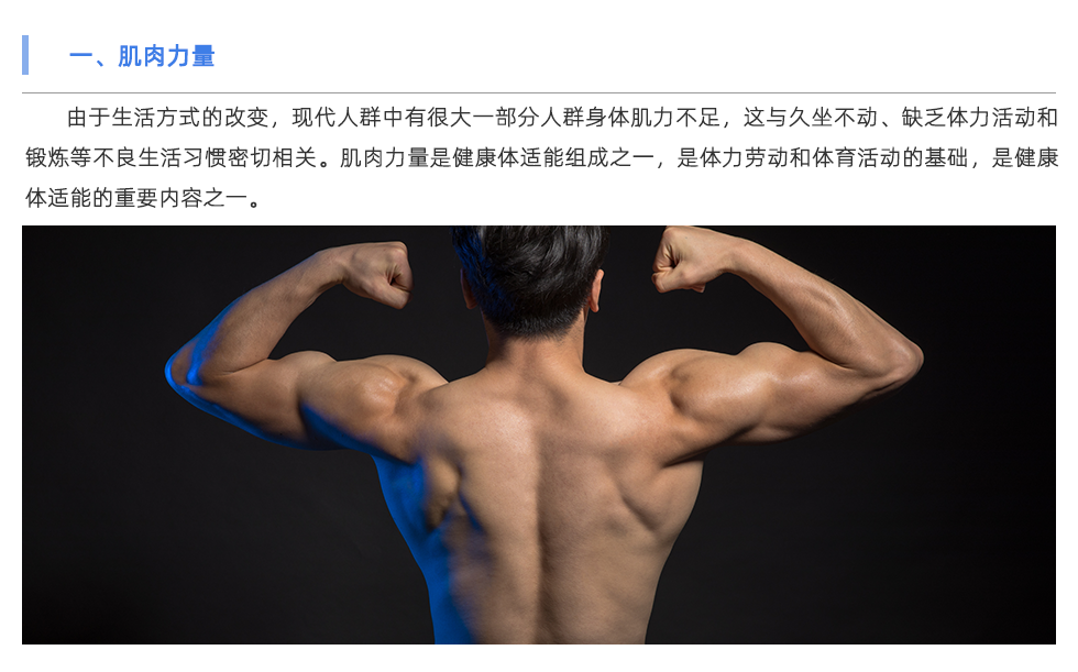 體能測(cè)試儀