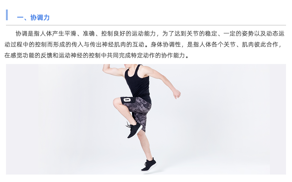 體能測(cè)試儀