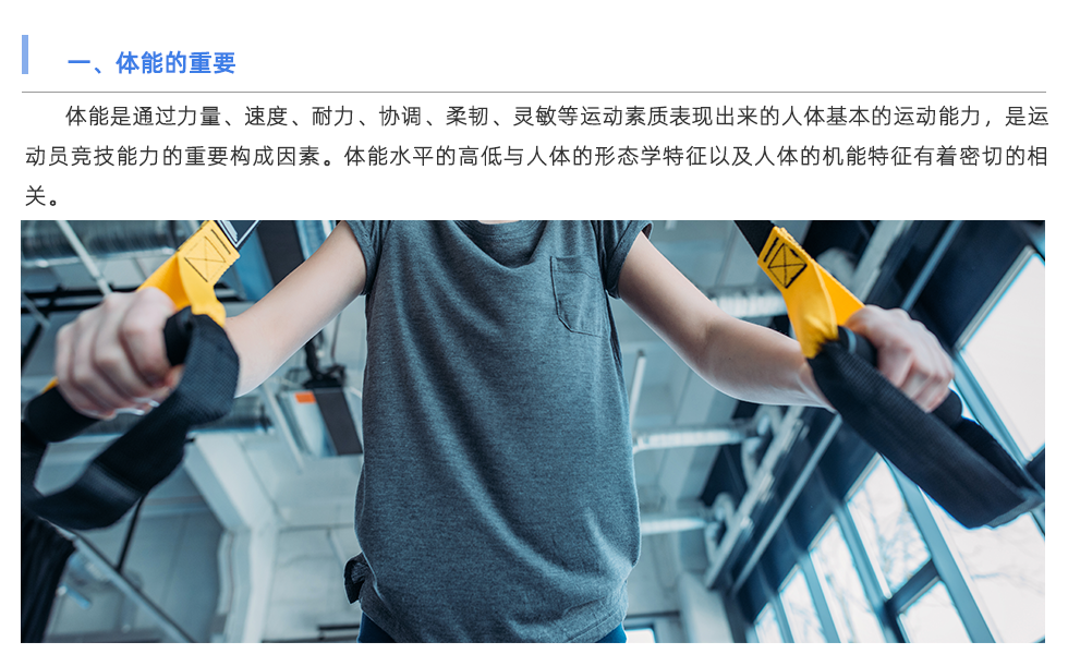 體能測(cè)試儀