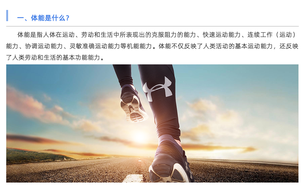 體能測(cè)試儀