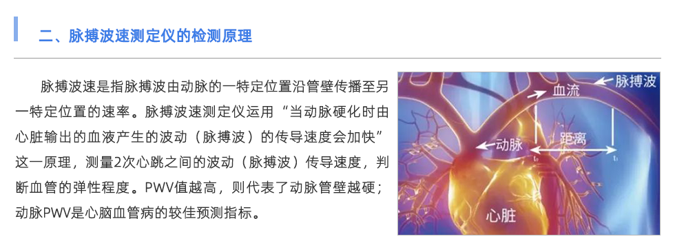 脈搏波速測(cè)定儀