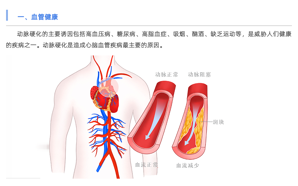 動(dòng)脈硬化檢測(cè)儀