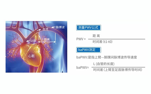 動脈硬化檢測儀