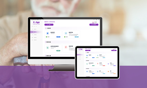 老年人綜合能力評(píng)估工具